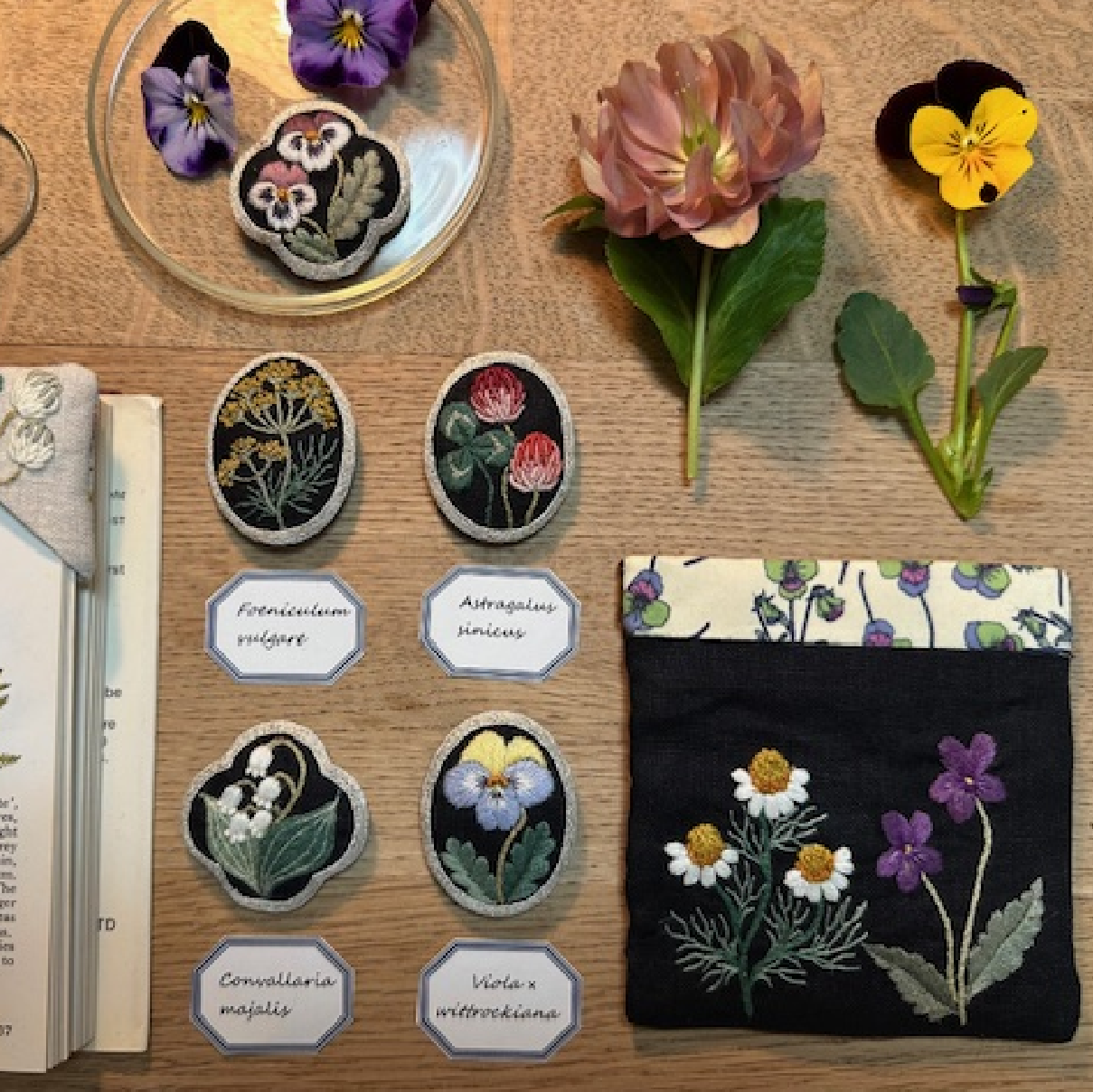 Collect～色とりどりの図鑑～〈4/27（月）〜5/10（日）〉 1